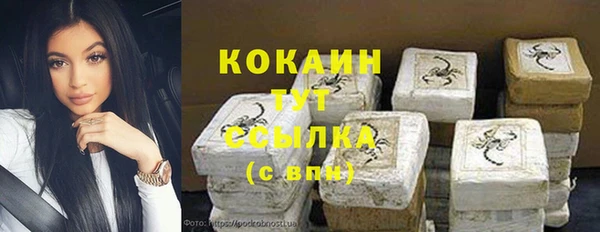 прущие грибы Абаза