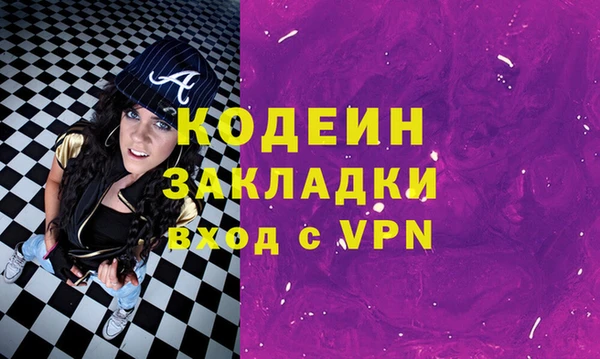 прущие грибы Абаза