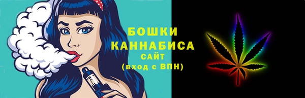 прущие грибы Абаза