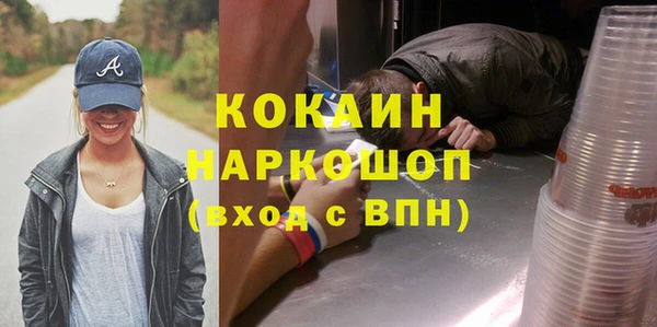 прущие грибы Абаза