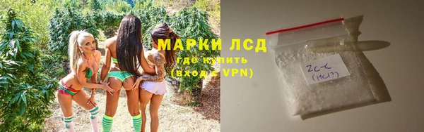 прущие грибы Абаза
