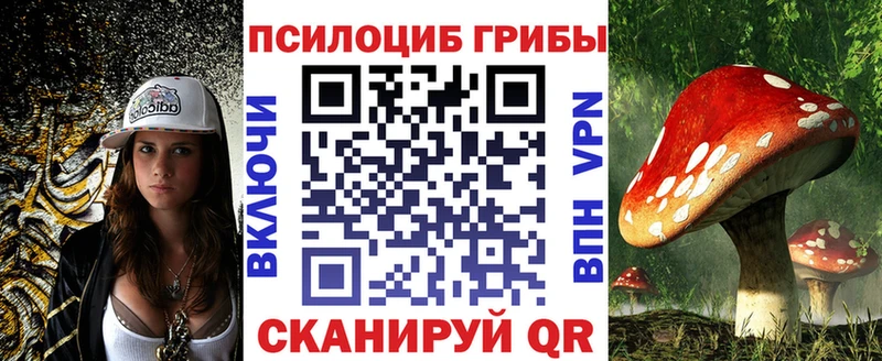 KRAKEN   где найти наркотики  Новотитаровская  Псилоцибиновые грибы мухоморы 