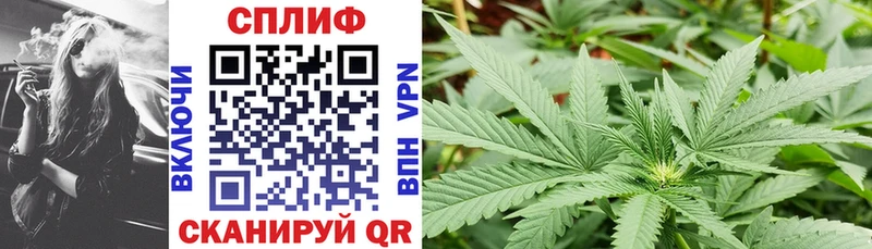 Шишки марихуана Amnesia Новотитаровская